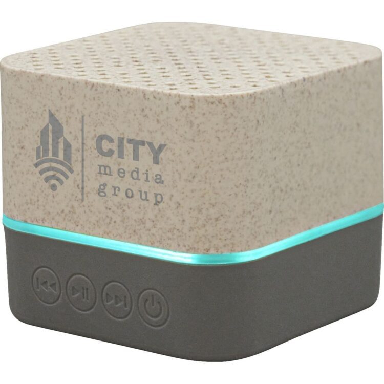 Wheat straw wood wireless speaker
