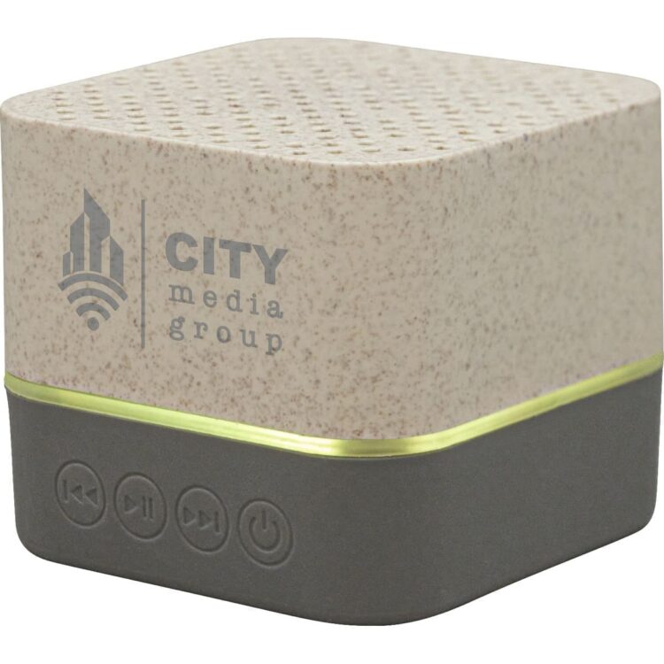 Wheat straw wood wireless speaker