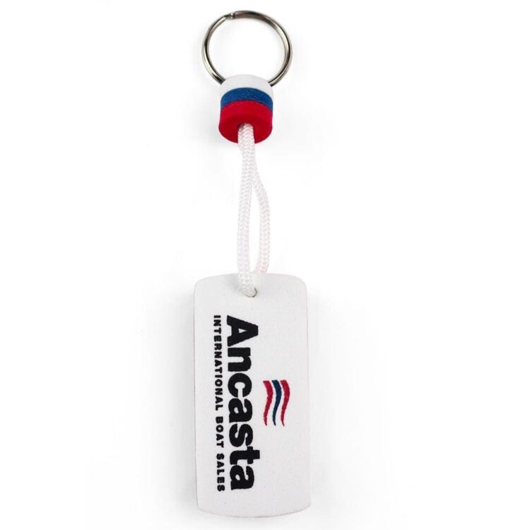 Cheap promotional gift eco-friendly safety key chains bulk tags with logo