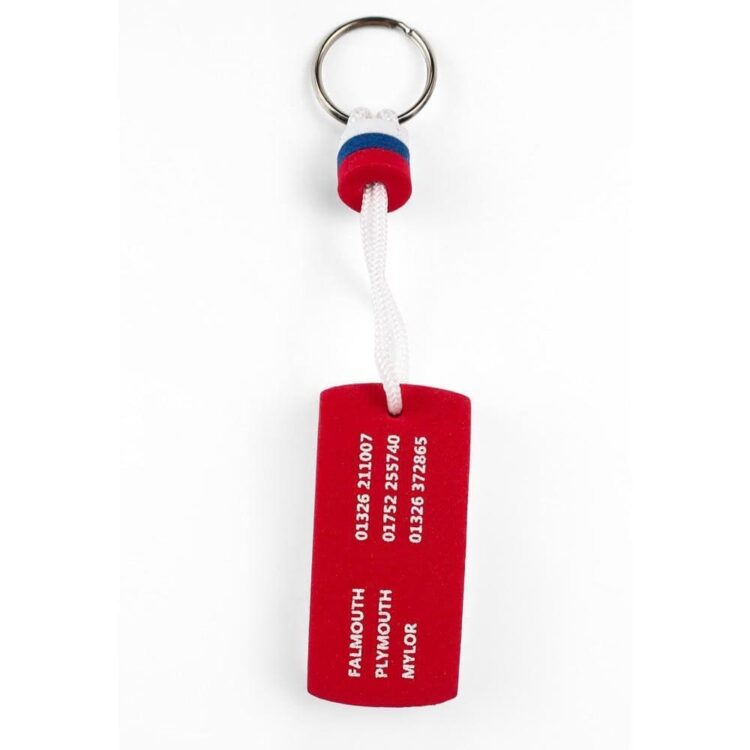 Cheap promotional gift eco-friendly safety key chains bulk tags with logo