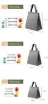 Custom portable girls food cooler box tote women insulated cooler food handle lunch bag