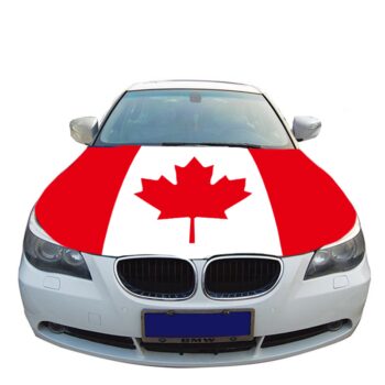 Custom cheap price puerto rico car window flag with pole plastic holder