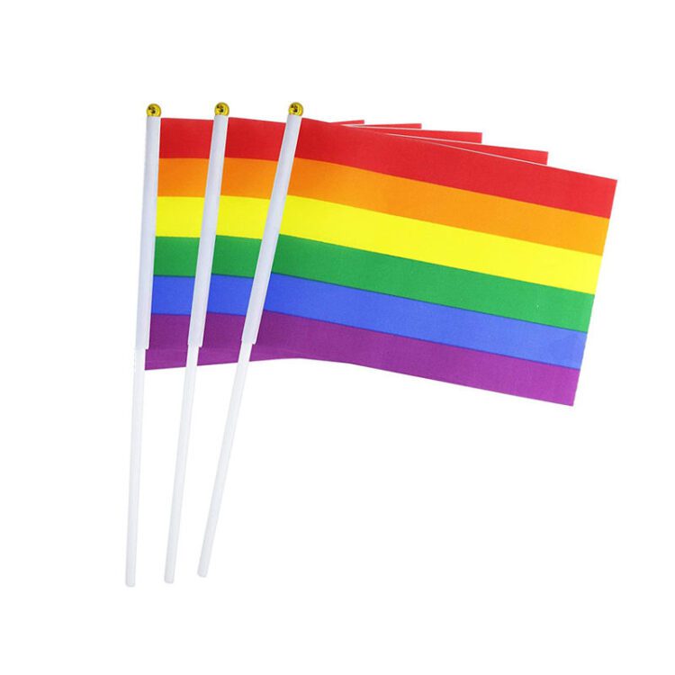 Customized small size shake flag polyester wooden printed lgbt gay pride 14*21cm hand waving hand held rainbow flags