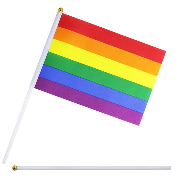 Customized small size shake flag polyester wooden printed lgbt gay pride 14*21cm hand waving hand held rainbow flags