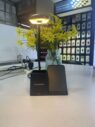 15w wireless charger desk lamp with pen holder phone stand 5