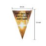 polyester fabric pennant string bunting flag 4