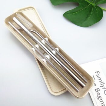 stainless steel straw set with eco friendly wheat straw case 1