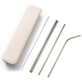 stainless steel straw set with eco friendly wheat straw case